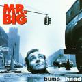 Mr. Big - Bump Ahead