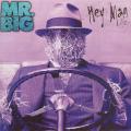 Mr. Big - Hey Man