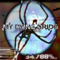 My Dying Bride - 34.788%... Complete