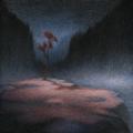 Nest - Agalloch / Nest