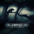 Nest - Trail of the Unwary