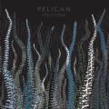 Pelican - City of Echoes