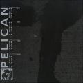 Pelican - Pelican