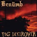Pig Destroyer - Benümb / Pig Destroyer Split