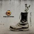 Poets Of The Fall - The Ultimate Fling (single)