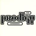 Prodigy - Experience