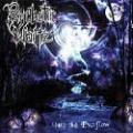 Psychotic Waltz - Into The Everflow