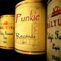 Punkie - Recénás