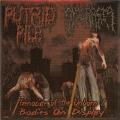 Putrid Pile - Bodies On Display (Split with Dyscrasia)