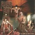 Putrid Pile - The Pleasure in Suffering (Full-length)