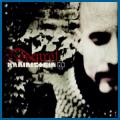 RAMMS+EIN! - Rosenrot (Single)
