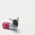 Red Hot Chilli Peppers - I