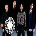 red hot chilli peppers