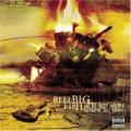 Reel big fish - We