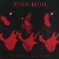 Richie Kotzen - Break It All Down