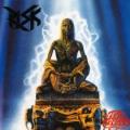 Risk - The Reborn