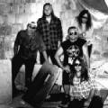 RoToR - Vegetáció