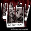 Salt The Wound - Bedsprings and Bloodshed (EP)