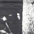 .Satyricon. - The Forest Is My Throne