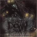 Shot Down Sun - The Human Design