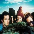 Sigur Rs