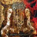 Sinister - Savage Or Grace