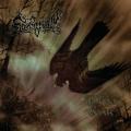 Slechtvalk - At the Dawn of War