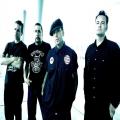 Social Distortion