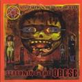 S.O.D. - Seasoning the Obese single