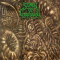 Spawn Of Possession - THE FORBIDDEN
