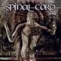 Spinal Cord - Stigmata of Life