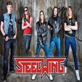 Steelwing