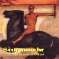 Sturmwehr - Tief in meinem Herzen
