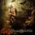 The Foreshadowing - Days of Nothing