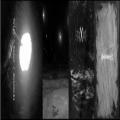 Trist - Trist / Kaxur / Holomráz Split