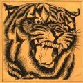 Tygers Of Pan Tang - Don