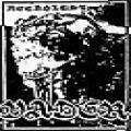 Vader - Necrolust