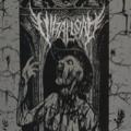 Viral Load - Hillbilly Whore Hackin Revival (EP)