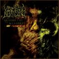 Visceral Bleeding - ABSORBING THE DISARRAY