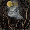 Woods of Desolation - As the Stars