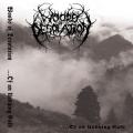 Woods of Desolation - ...of an Undying Cold (Demo)
