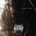 Woods of Desolation - Toward The Depths