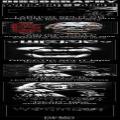 Wormrot - Wormrot/Diseptic split