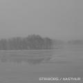 Xasthur - Striborg/Xasthur