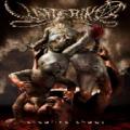 YATTERING - Creative Chaos DVD