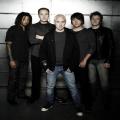 yellowcard